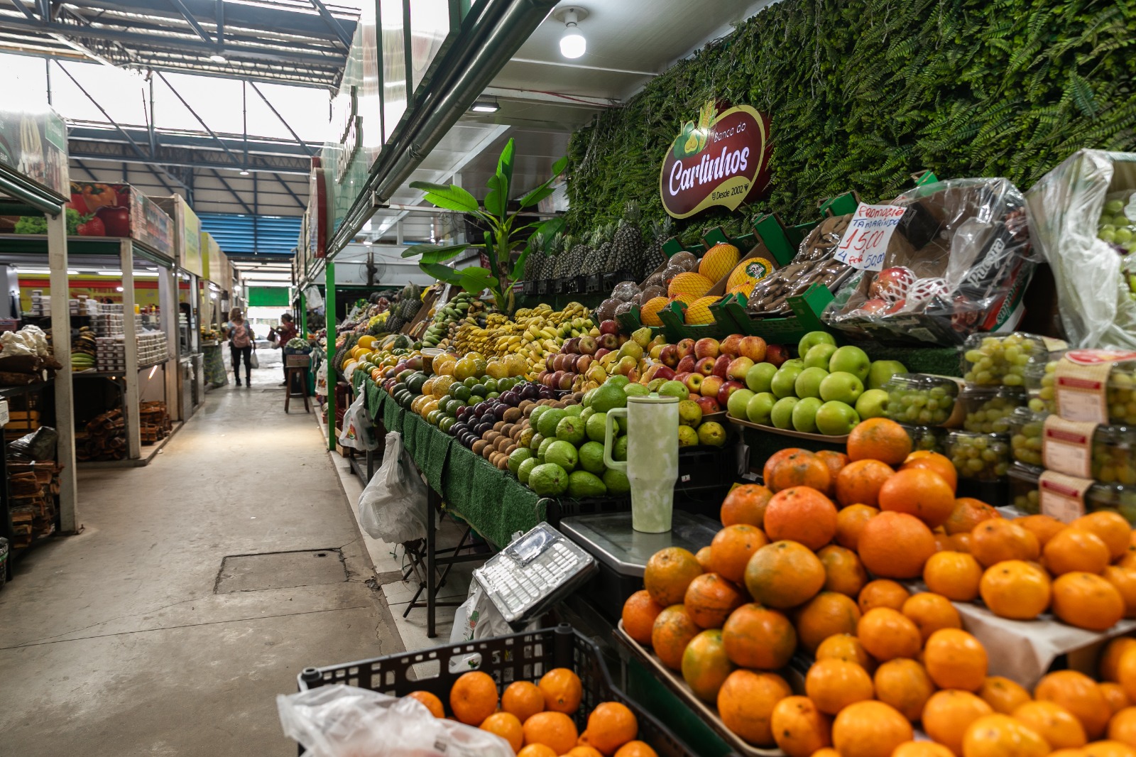 Mercado do Porto celebra Dia do Feirante com cultura, música e homenagem aos trabalhadores