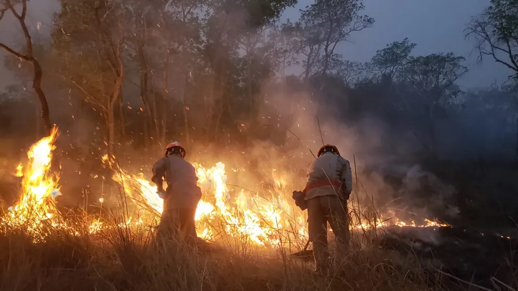 Corpo de Bombeiros combate cinco incêndios florestais nesta terça-feira (8)